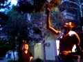 Dzemo-Cigara na drvo Dzemo-Cigara na drvo