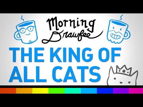 The King of All Cats - MORNING DRAWFEE