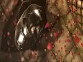 Warcraft 3: Regin of Chaos-Ravenlord