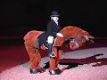 Dressage Show