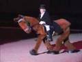 Dressage Show