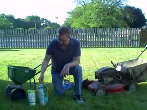 how to overseed and fertilize lawn