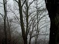 IMGP4493