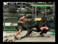VF5 Lion Combos (ver.B) VF5 Lion Combos (ver.B)