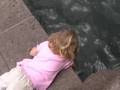 videos de Cherry Blossom Festival 2007