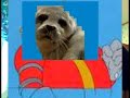 THIS VIDEO CONTAINS SEALS FROM BRAZIL THIS VIDEO CONTAINS SEALS FROM BRAZIL