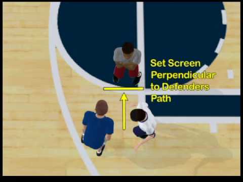 Basketball Training Principles, What Are They? 0 Basketball Training Principles, What Are They?