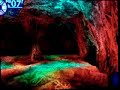 etrian odyssey   forestcell  primevil 1 