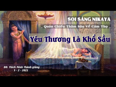 SOI SÁNG NIKAYA - QUÁN CHIẾU THÂM SÂU VỀ CẢM THỌ _ Yêu Thương Là Khổ Sầu