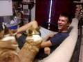 Randy Screwing with the dogs