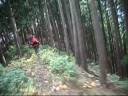 MTBing in Okutama:AKGN to TKMZ MTBing in Okutama:AKGN to TKMZ