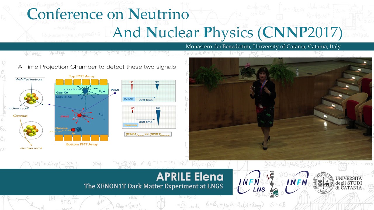 CNNP 2017 - The XENON1T Dark Matter Experiment at LNGS