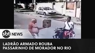 Ladrão rouba passarinho de morador na porta de ca