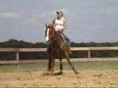 My Mercedes Magic - 14.3HH, 2001' sorrel AQHA gelding