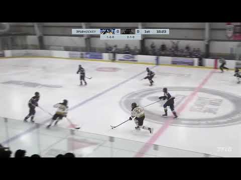 Hat Trick vs Collingwood - 2025-03-28