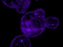 Psychedelic 3d Blob Spawn