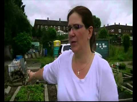 St Dunstan's Moston Allotment