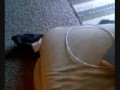 Dogbook Movie: Mojo Sleeps Weird