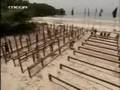 Gonullerin Survivori Teymuralp Part4 Bolum4