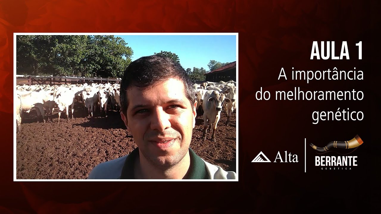 Aula 1 - A importância do melhoramento genético animal - Berrante Genética