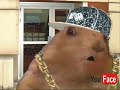drama-prairie-dog-on-drugs.html