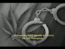 Graham Hancock - Marihuana es Libertad