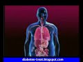 Learn Diabetes Type 1 - Part 2
