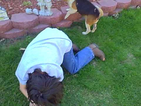 the wierd soljur and his dog