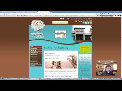Dr. Michelle Haynes - Dental Website Marketing Plan