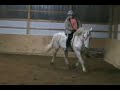 Peanut Lesson - Percheron