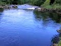 Playing a big salmon on the Doon part 1 Playing a big salmon on the Doon part 1