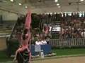 CHIO Aachen 2008 Team Neuss