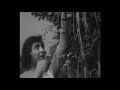 Swiss Spaghetti Harvest 1957 Swiss Spaghetti Harvest 1957