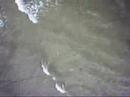 Airial Kitecam 1st test Airial Kitecam 1st test