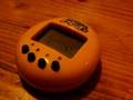 Found in Malcolm X Park: Virtual Pets keychain