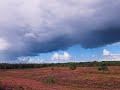Picture Of Moorland With Instrumental Rock Music Picture Of Moorland With Instrumental Rock Music