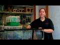 Pet Rodents : How to Pick a Healthy Hamster