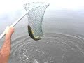 Fishing at Wabasca for Walleye & Jack! (#2)