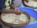 Tuban Traditional Food - Tuban -East Java