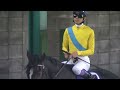 第140回天皇賞(秋)(GI) 2009.11.01 [HD]