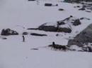 antarctica