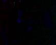 videos de Dj Mario Oobezlleb 2 Braindrop 30.11.2007