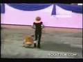 Perros Extraviados A.C. Video Greese