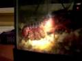100_1401.mov