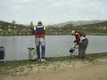 trota lago quintalissima 2008 trota lago quintalissima 2008