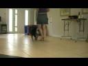 Ahsoka - 20 weeks - Heelwork