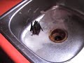 How not to kill a BAT ! How not to kill a BAT !