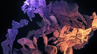 Relative Minds Intro - AE Timelapse