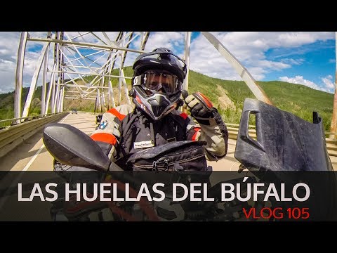 Las huellas del Búfalo. Vlog #105