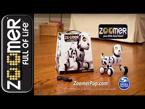 how to train zoomer puppy